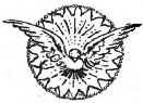 dove