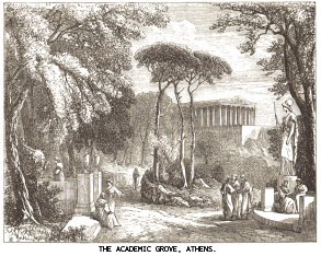 The Academic Grove