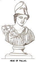 Head of Pallas