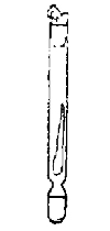 Potato in a Roux Tube Prepared for Cultivation