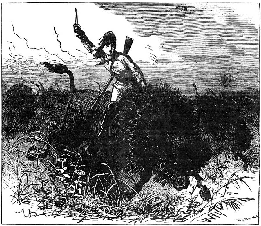 Maddened with fright, the bull bounded into the air, snorted wildly, gored those in advance, and soon led the herd.