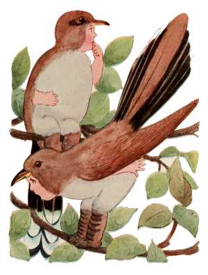Cuckoo