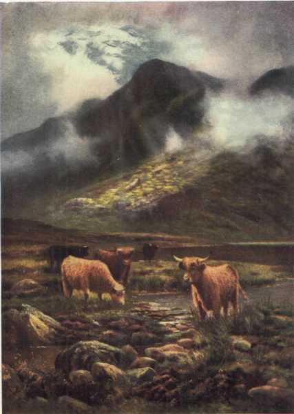 IN THE SCOTTISH HIGHLANDS. IN THE SCOTTISH HIGHLANDS.