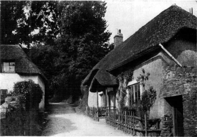OLD COTTAGES AT COCKINGTON. OLD COTTAGES AT COCKINGTON.