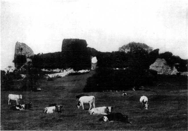 PEVENSEY CASTLE, WHERE THE NORMANS LANDED. PEVENSEY CASTLE, WHERE THE NORMANS LANDED.