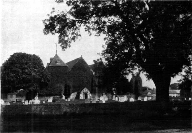 WINCHELSEA CHURCH AND ELM TREE. WINCHELSEA CHURCH AND ELM TREE.