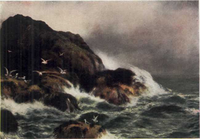 THE CALEDONIAN COAST. THE CALEDONIAN COAST.