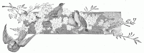 Birds in a branch Birds in a branch
