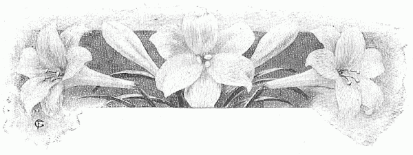 Flowers Flowers