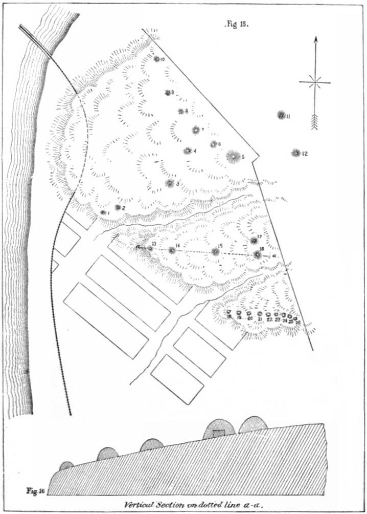 PL. III. GROUP OF MOUNDS AND VERTICAL SECTION OF BLUFF, EAST DUBUQUE, ILL.