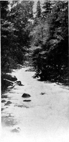 THE LAUGHTER OF THE BROOK