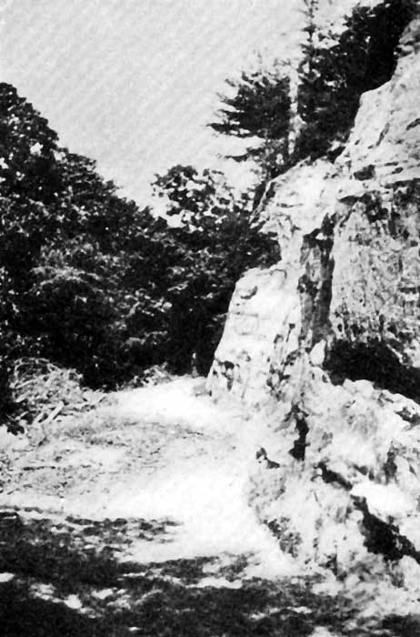 THE TURN OF THE TRAIL