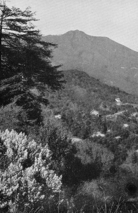 MOUNT TAMALPAIS
