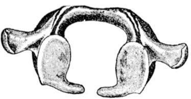 Fig. 9.