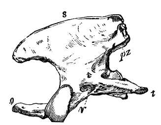 Fig. 10.