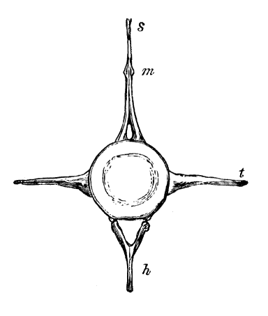 Fig. 13.