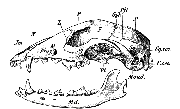 Fig. 14.