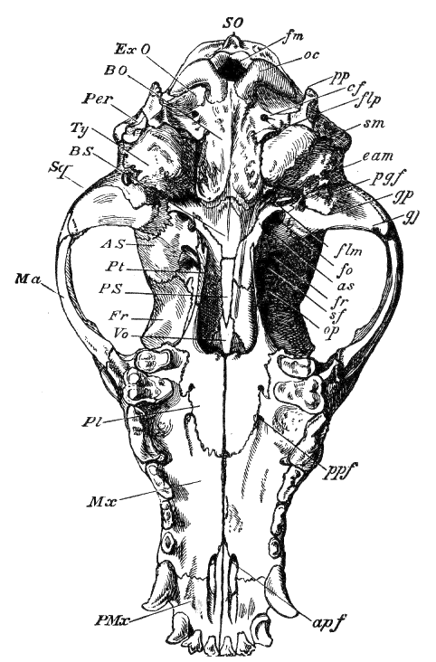 Fig. 16.