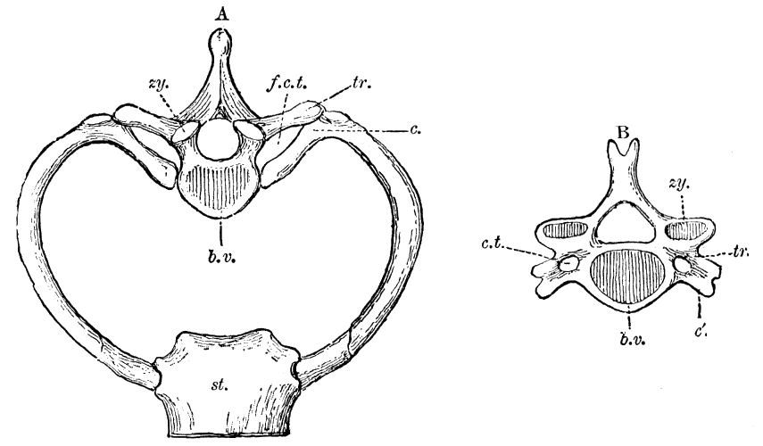 Fig. 17.