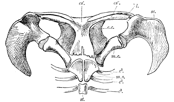 Fig. 22.