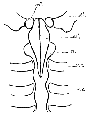 Fig. 23.