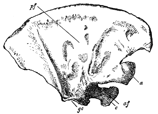 Fig. 27.