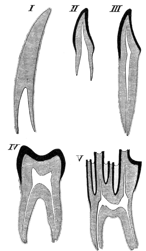 Fig. 33.