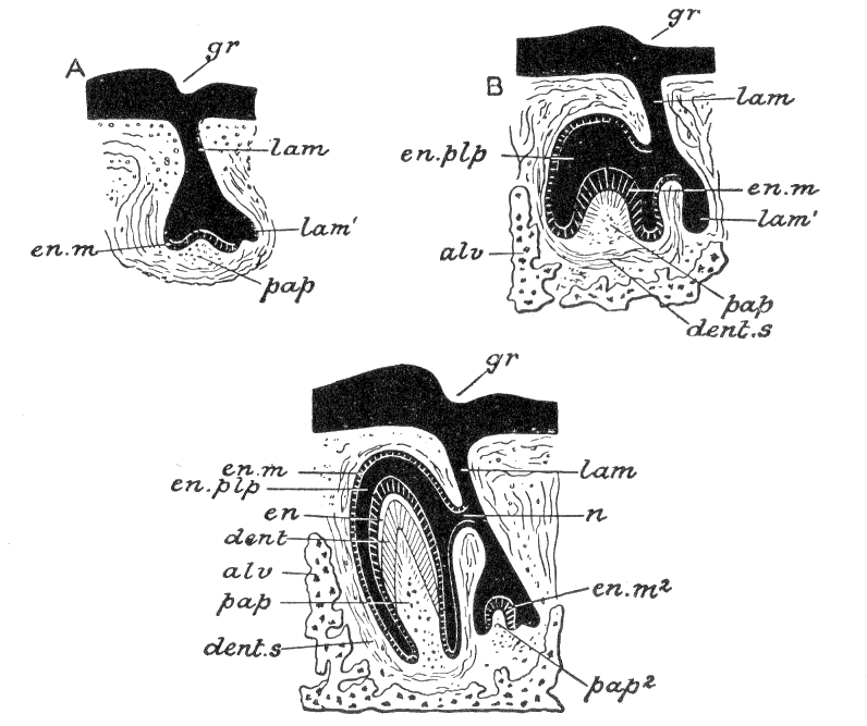 Fig. 37.