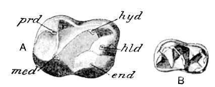 Fig. 38.