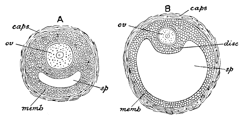 Fig. 45.