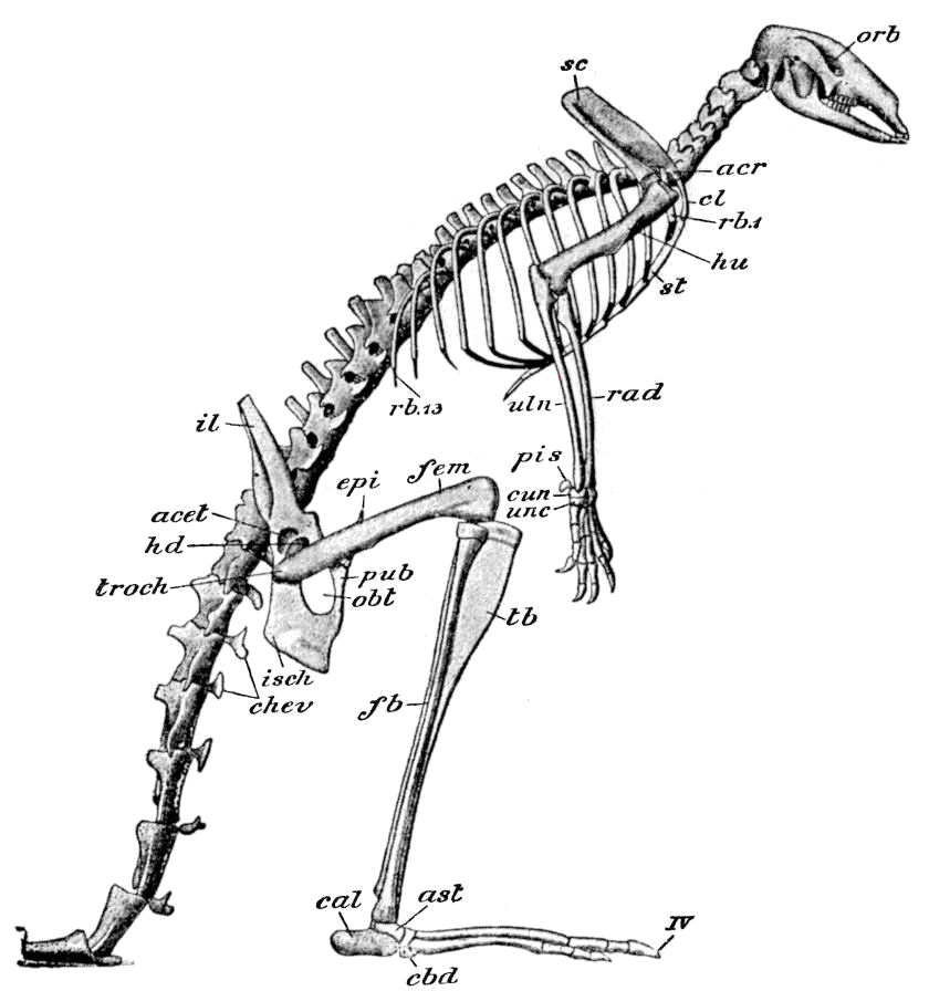 Fig. 65.