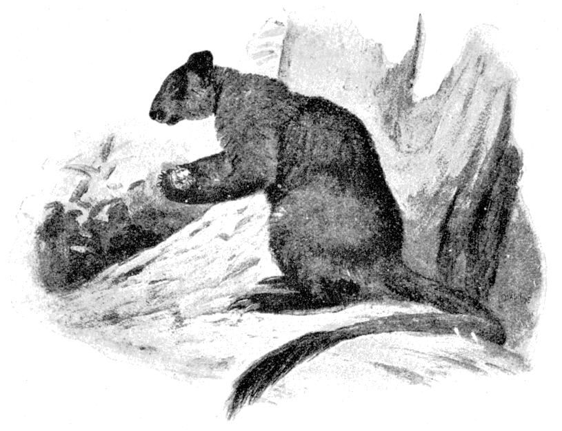 Fig. 67.