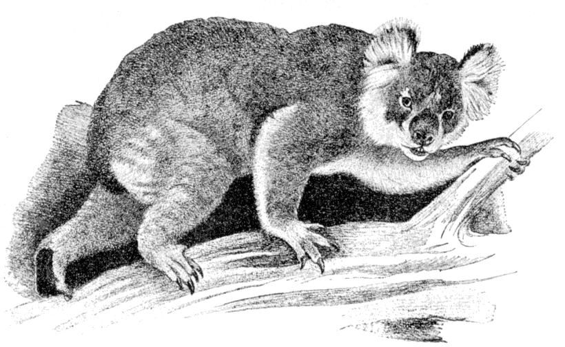 Fig. 70.