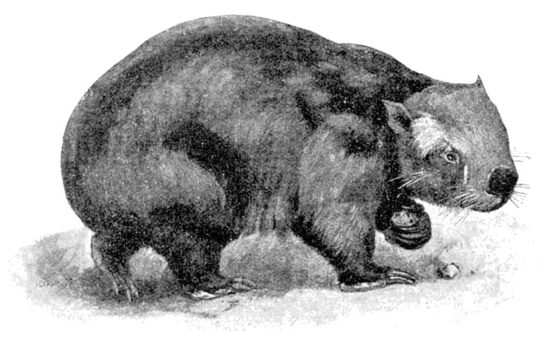 Fig. 71.