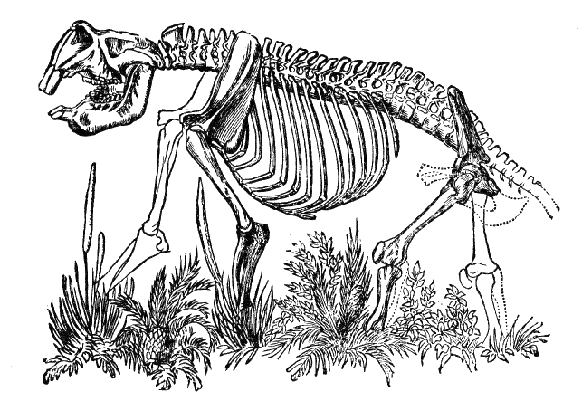 Fig. 73.