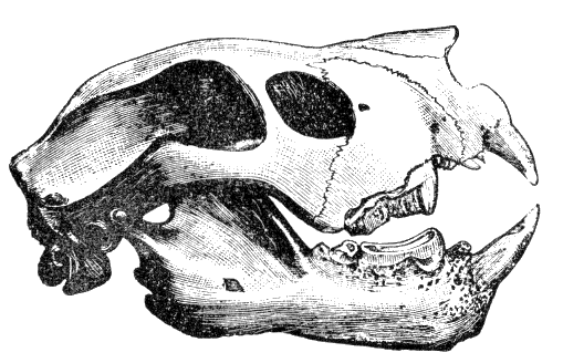 Fig. 74.