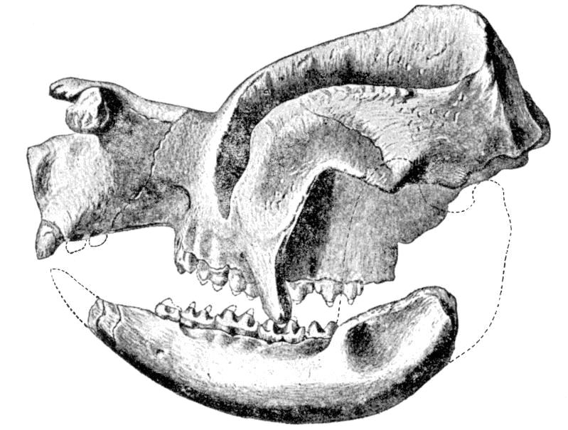 Fig. 75.