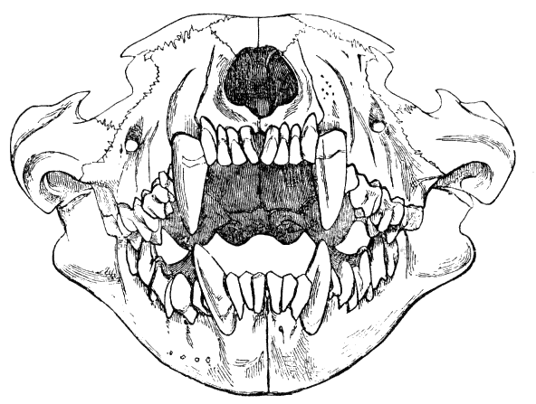 Fig. 76.
