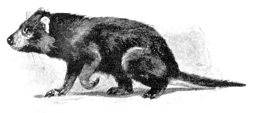 Fig. 79.
