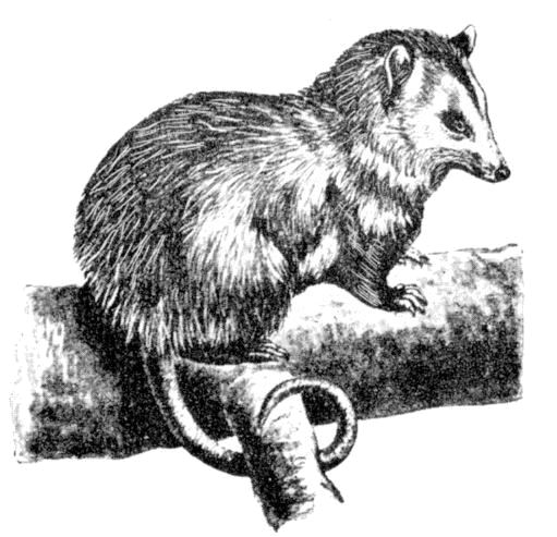Fig. 83.