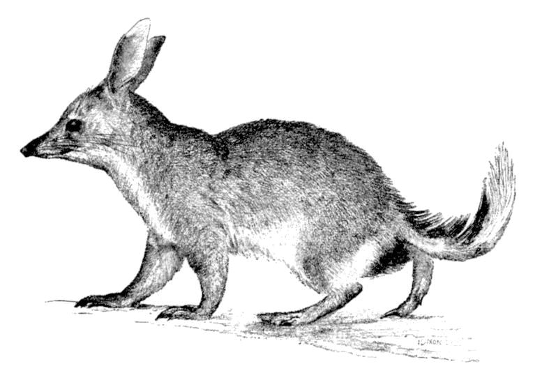 Fig. 86.