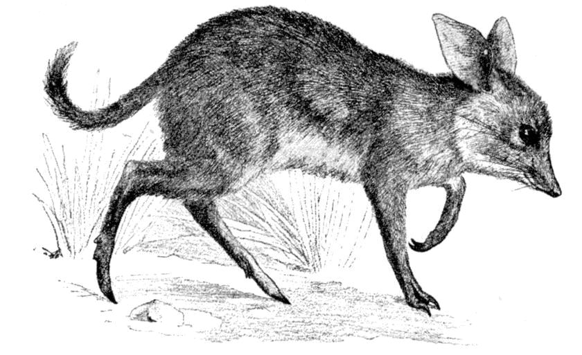 Fig. 87.