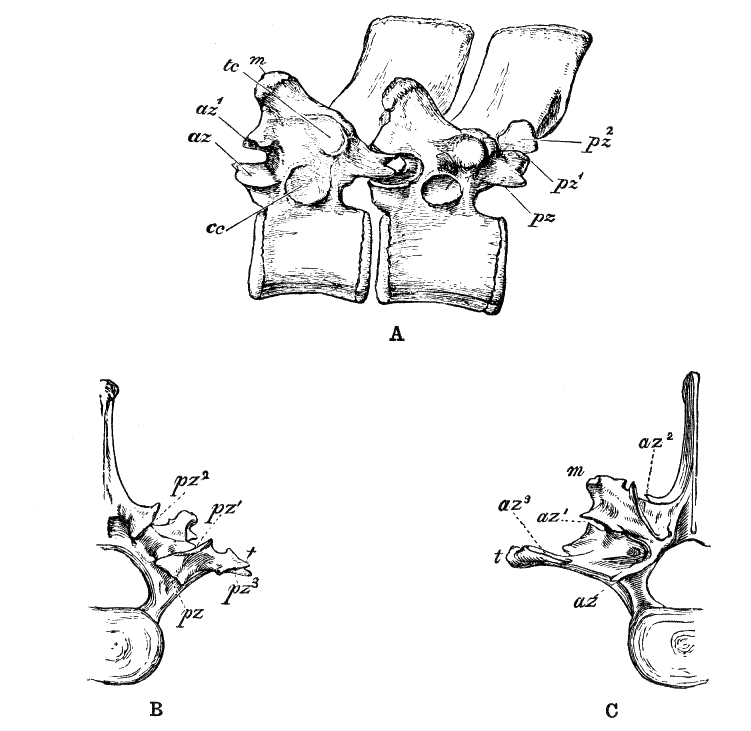 Fig. 89.