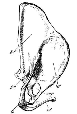 Fig. 90.