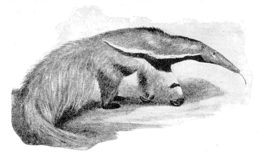 Fig. 91.