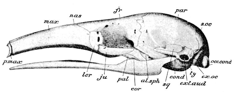 Fig. 92.