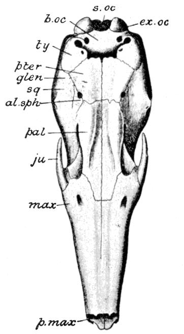 Fig. 93.