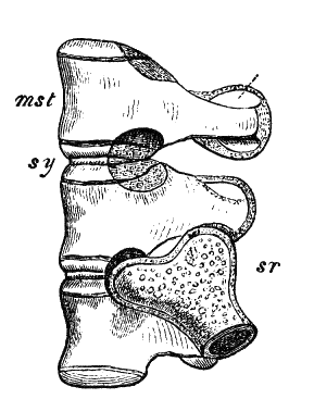Fig. 94.