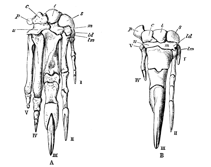 Fig. 95.