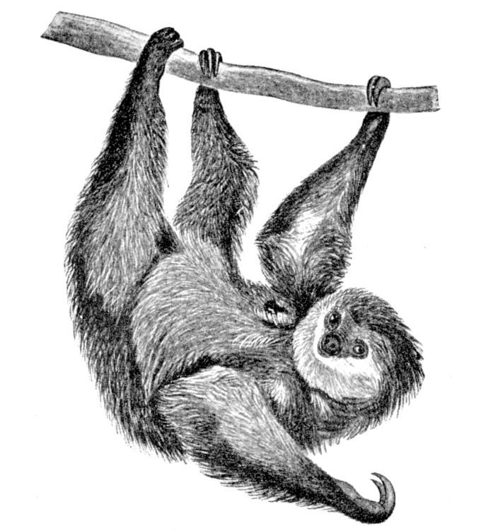 Fig. 96.